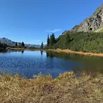 Tiny Albuin بيت للعطل