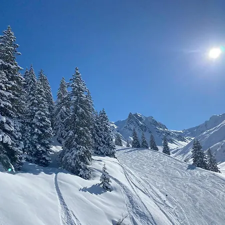 Tiny Albuin * Sankt Gallenkirch