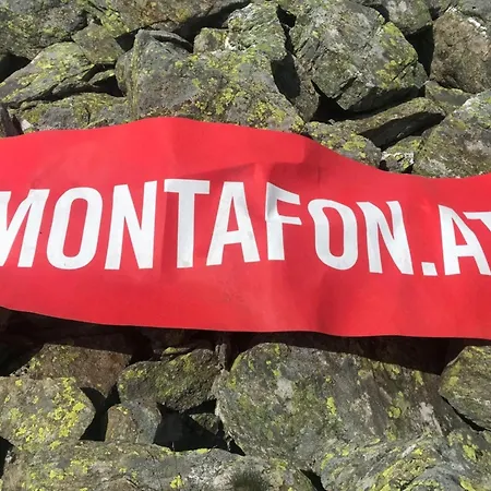 Tiny Albuin Ferienhaus Sankt Gallenkirch